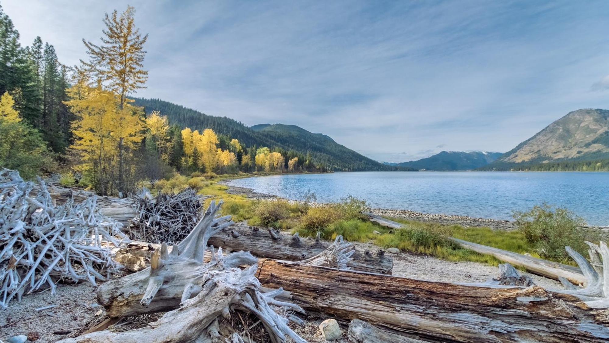 Raven Haven Lodge By Nw Comfy Cabins Leavenworth Bagian luar foto